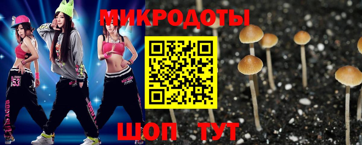 Псилоцибиновые грибы мухоморы  Псилоцибиновые грибы прущие грибы  Вход с VPN  Муравленко 